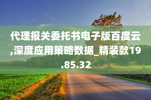 代理报关委托书电子版百度云,深度应用策略数据_精装款19.85.32