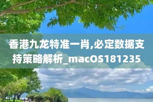 香港九龙特准一肖,必定数据支持策略解析_macOS181235