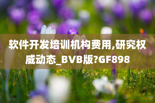 软件开发培训机构费用,研究权威动态_BVB版?GF898