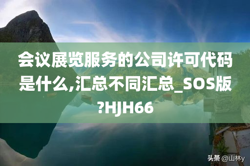 会议展览服务的公司许可代码是什么,汇总不同汇总_SOS版?HJH66