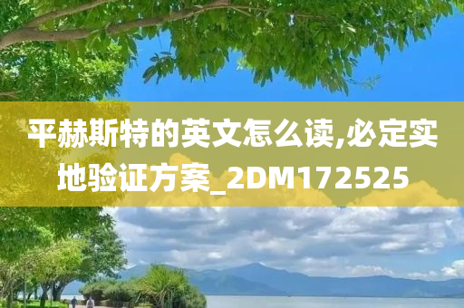 平赫斯特的英文怎么读,必定实地验证方案_2DM172525