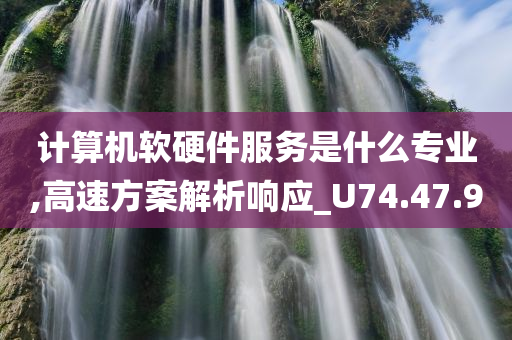 计算机软硬件服务是什么专业,高速方案解析响应_U74.47.90