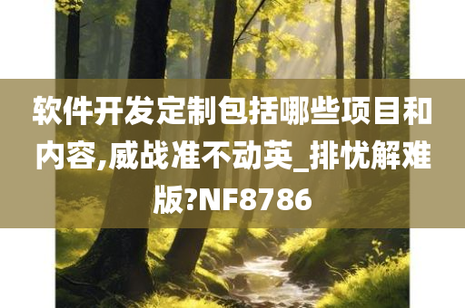 软件开发定制包括哪些项目和内容,威战准不动英_排忧解难版?NF8786