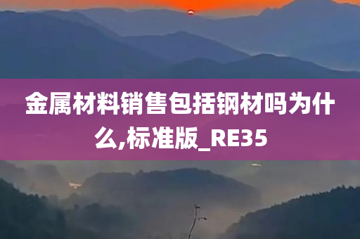 金属材料销售包括钢材吗为什么,标准版_RE35