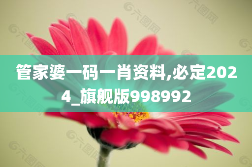 管家婆一码一肖资料,必定2024_旗舰版998992