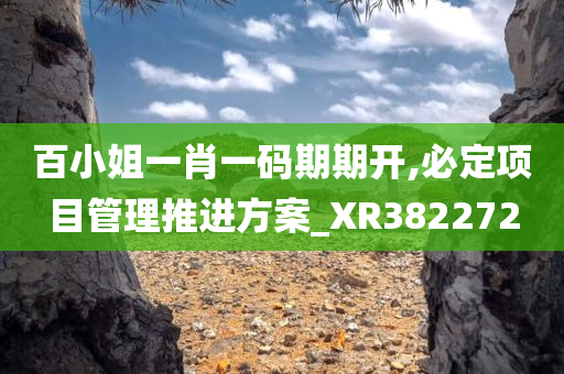 百小姐一肖一码期期开,必定项目管理推进方案_XR382272