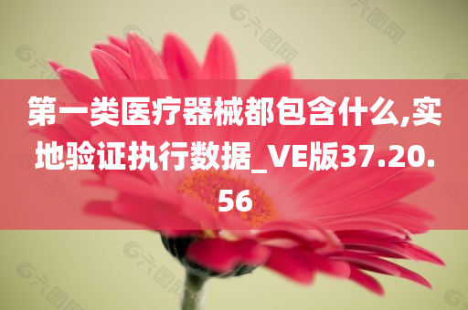 第一类医疗器械都包含什么,实地验证执行数据_VE版37.20.56