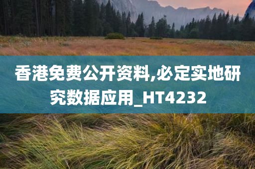 香港免费公开资料,必定实地研究数据应用_HT4232