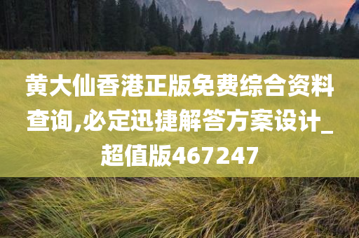 黄大仙香港正版免费综合资料查询,必定迅捷解答方案设计_超值版467247