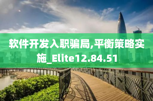 软件开发入职骗局,平衡策略实施_Elite12.84.51