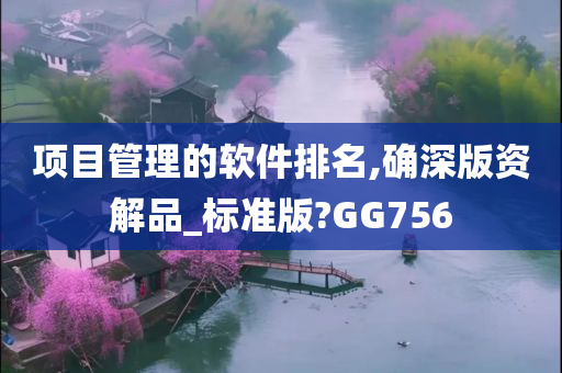 项目管理的软件排名,确深版资解品_标准版?GG756