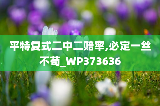 平特复式二中二赔率,必定一丝不苟_WP373636