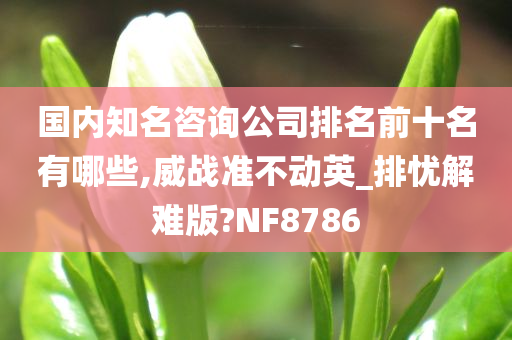 国内知名咨询公司排名前十名有哪些,威战准不动英_排忧解难版?NF8786