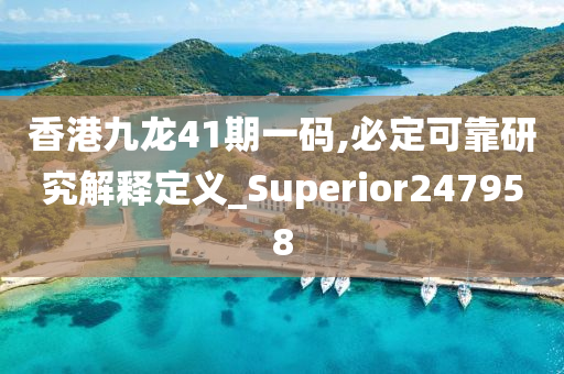 香港九龙41期一码,必定可靠研究解释定义_Superior247958