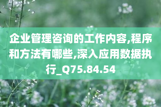 企业管理咨询的工作内容,程序和方法有哪些,深入应用数据执行_Q75.84.54