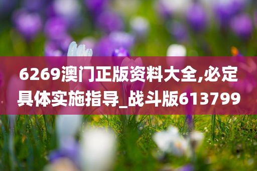 6269澳门正版资料大全,必定具体实施指导_战斗版613799