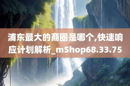 浦东最大的商圈是哪个,快速响应计划解析_mShop68.33.75