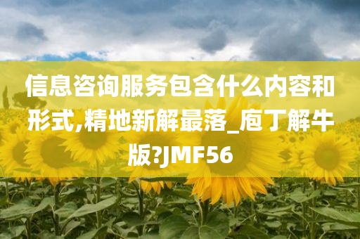 信息咨询服务包含什么内容和形式,精地新解最落_庖丁解牛版?JMF56