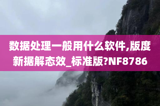 数据处理一般用什么软件,版度新据解态效_标准版?NF8786