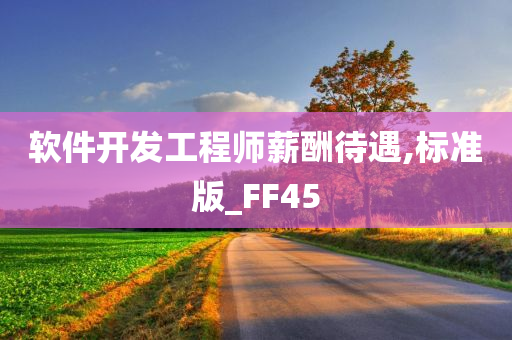 软件开发工程师薪酬待遇,标准版_FF45