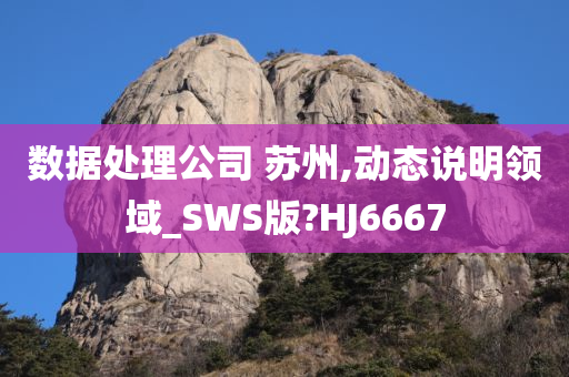 数据处理公司 苏州,动态说明领域_SWS版?HJ6667