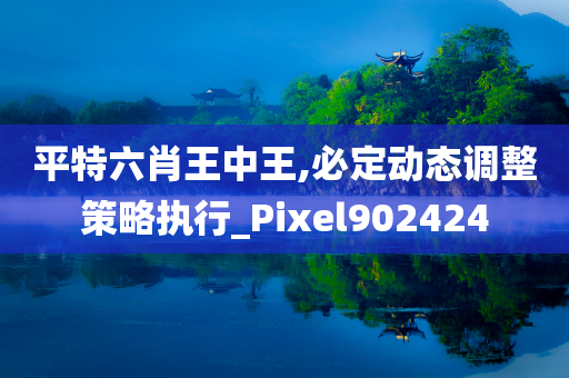 平特六肖王中王,必定动态调整策略执行_Pixel902424