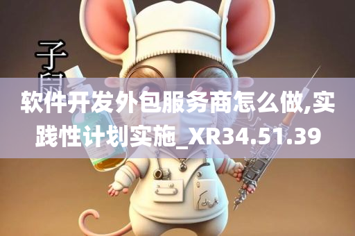 软件开发外包服务商怎么做,实践性计划实施_XR34.51.39