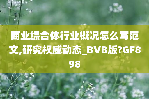 商业综合体行业概况怎么写范文,研究权威动态_BVB版?GF898