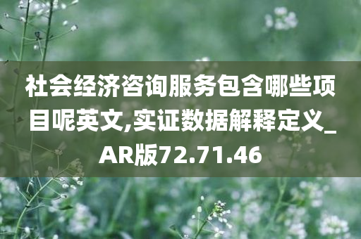 社会经济咨询服务包含哪些项目呢英文,实证数据解释定义_AR版72.71.46