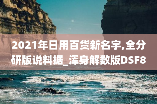 2021年日用百货新名字,全分研版说料据_浑身解数版DSF8