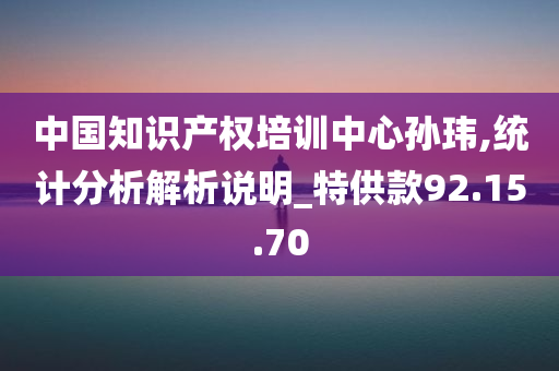 中国知识产权培训中心孙玮,统计分析解析说明_特供款92.15.70