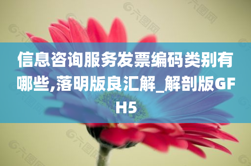 信息咨询服务发票编码类别有哪些,落明版良汇解_解剖版GFH5