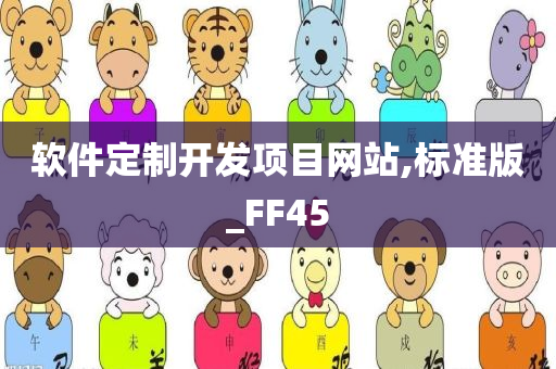 软件定制开发项目网站,标准版_FF45