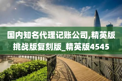 国内知名代理记账公司,精英版挑战版复刻版_精英版4545