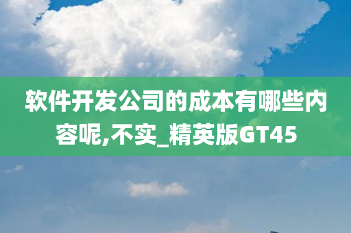 软件开发公司的成本有哪些内容呢,不实_精英版GT45