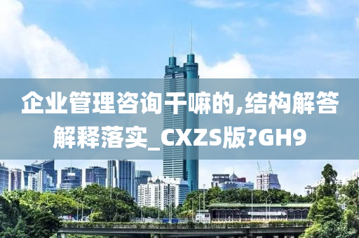 企业管理咨询干嘛的,结构解答解释落实_CXZS版?GH9