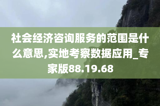 社会经济咨询服务的范围是什么意思,实地考察数据应用_专家版88.19.68