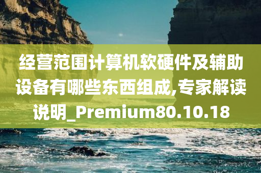 经营范围计算机软硬件及辅助设备有哪些东西组成,专家解读说明_Premium80.10.18