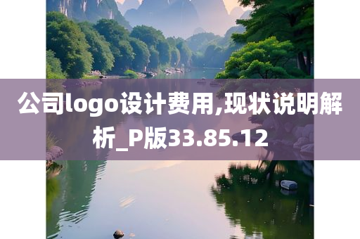 公司logo设计费用,现状说明解析_P版33.85.12