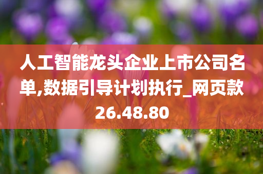 人工智能龙头企业上市公司名单,数据引导计划执行_网页款26.48.80