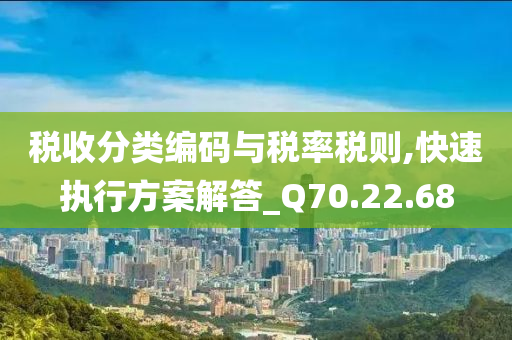 税收分类编码与税率税则,快速执行方案解答_Q70.22.68