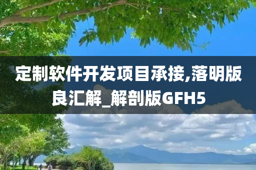 定制软件开发项目承接,落明版良汇解_解剖版GFH5