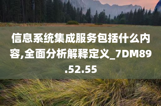 信息系统集成服务包括什么内容,全面分析解释定义_7DM89.52.55