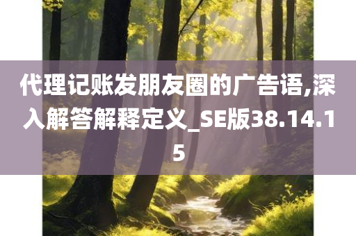 代理记账发朋友圈的广告语,深入解答解释定义_SE版38.14.15