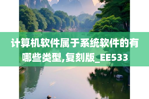 计算机软件属于系统软件的有哪些类型,复刻版_EE533