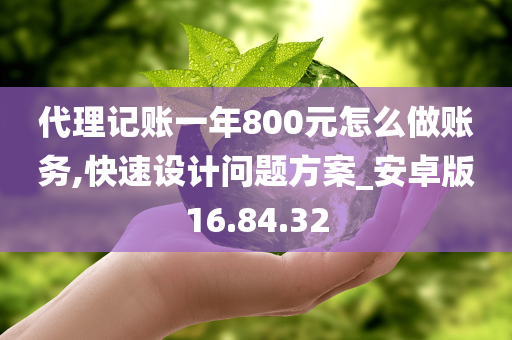 代理记账一年800元怎么做账务,快速设计问题方案_安卓版16.84.32