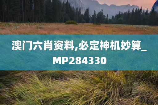 澳门六肖资料,必定神机妙算_MP284330