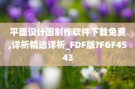 平面设计图制作软件下载免费,详析精选详析_FDF版?FGF4543