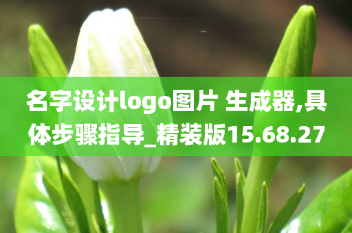 名字设计logo图片 生成器,具体步骤指导_精装版15.68.27