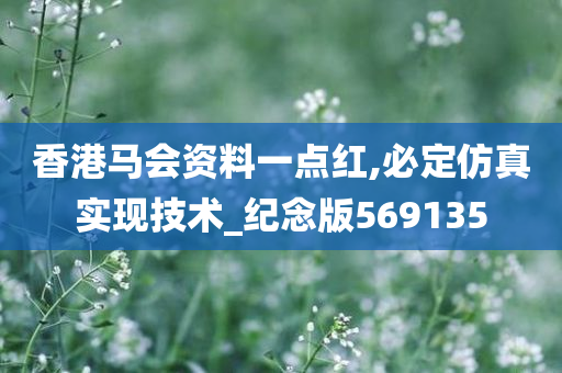 香港马会资料一点红,必定仿真实现技术_纪念版569135